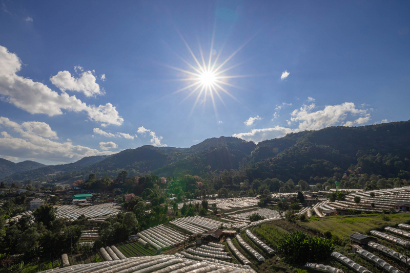 Menurut laporan BMKG, cuaca di Kota Batu diprakirakan cerah. (Freepik).