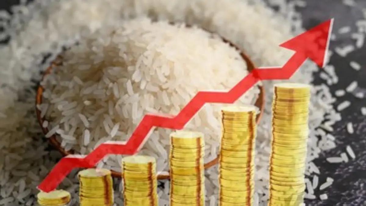 FLUKTUASI HARGA: Prediksi BMKG mengenai musim kemarau datang lebih cepat berpotensi mempengaruhi harga beras di pasaran. (Sumber: Jabar News)
