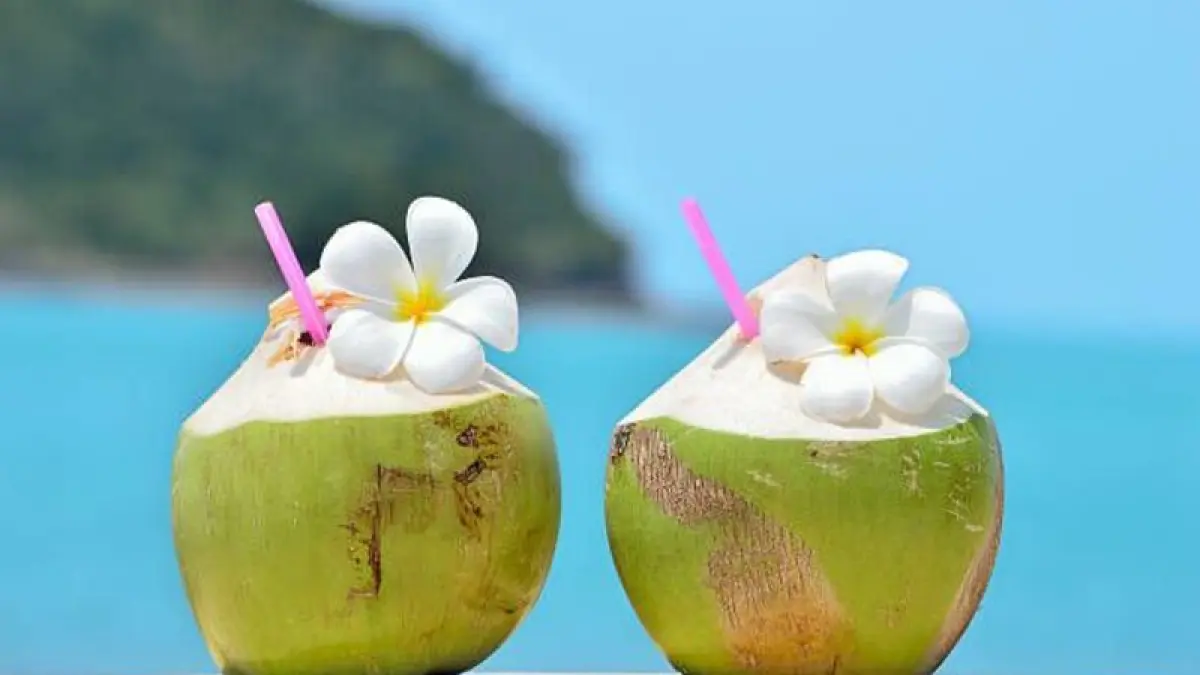 Potret buah kelapa. (Pinterest).