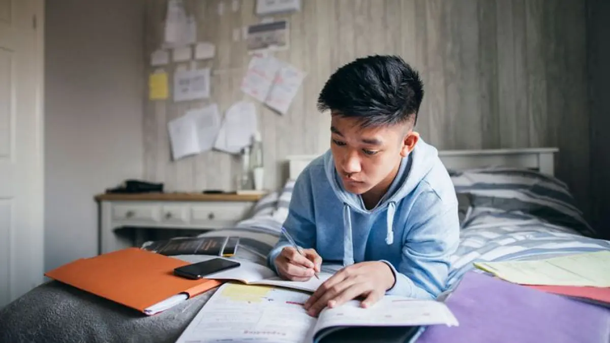 Ilustrasi seorang peserta didik sedang belajar. (Pinterest)