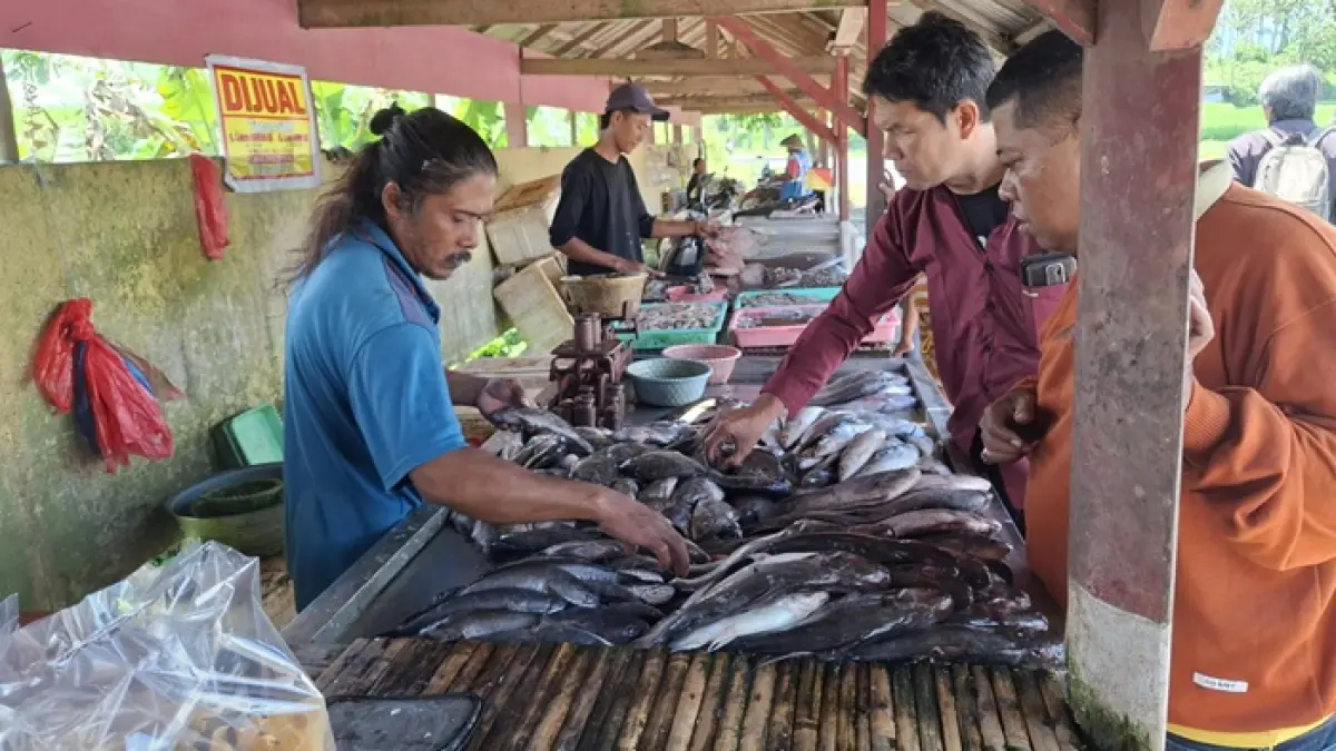 KEJAR TARGET: Ikan hasil budidaya air tawar diminati masyarakat. Mereka membeli di lapak-lapak pinggir jalan.
