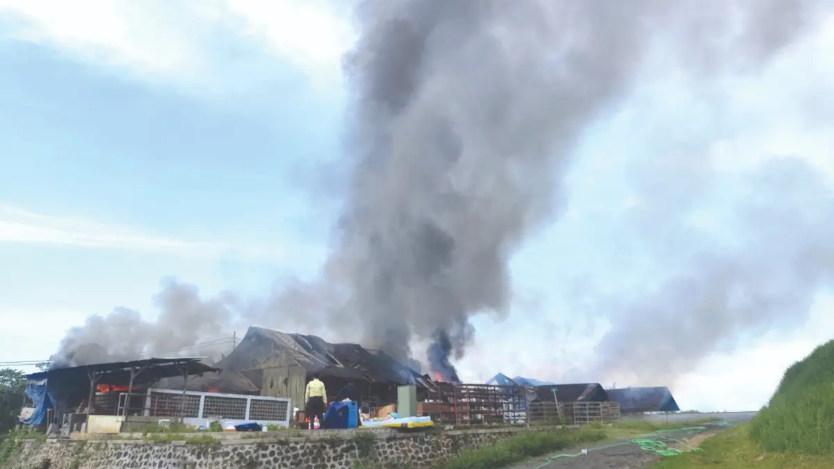 LUASNYA 90 METER PERSEGI: Penyebab dan estimasi kerugian dari kasus kebakaran di sebuah gudang telur di Dusun Tumpangrejo, Desa Ngenep, Kecamatan Karangploso masih diselidiki petugas. (Damkar Kabupaten Malang For Radar Malang)