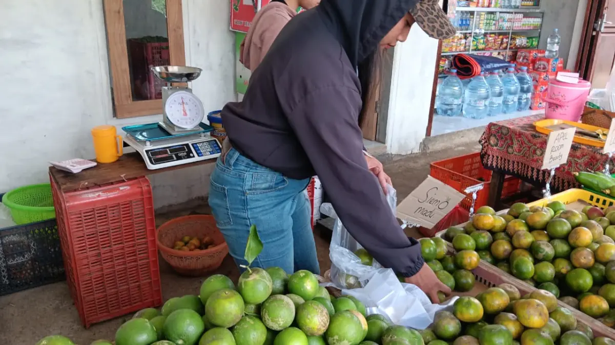 PRODUK LOKAL: Seorang pedagang jeruk di Desa Selorejo, Kecamatan Dau melayani pembeli.