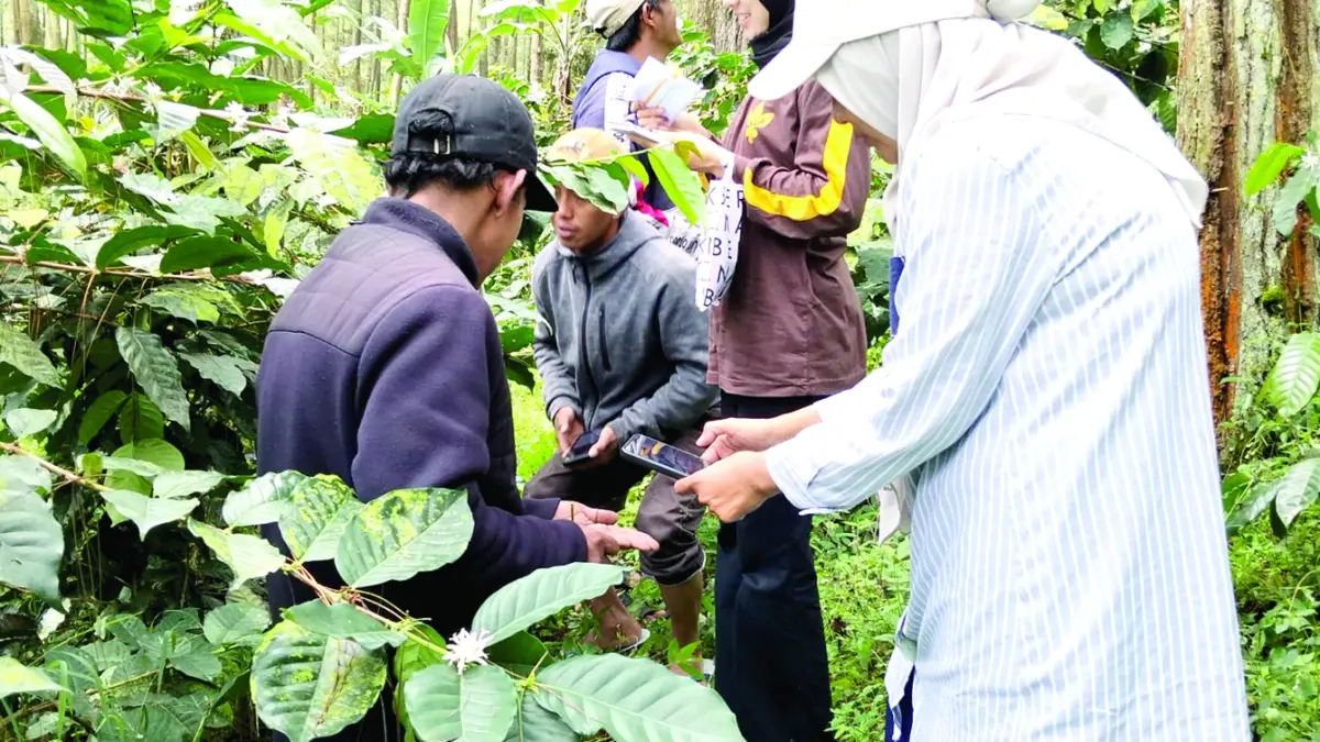 KOMODITAS: Tim DTPHP Kabupaten Malang memeriksa kondisi pertanian kopi di Bumi Kanjuruhan beberapa waktu lalu. (DTPHP KABUPATEN MALANG FOR RADAR KANJURUHAN)