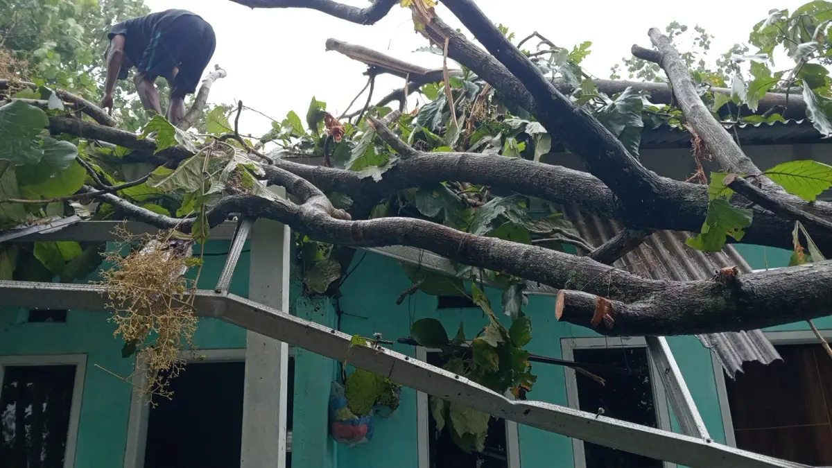 AKIBAT CUACA EKSTREM: Pohon tumbang menimpa rumah kos di Jalan Flamboyan, Desa Pakisaji, Kecamatan Pakisaji, Sabtu (28/3) siang. (BPBD KABUPATEN MALANG FOR RADAR KANJURUHAN)