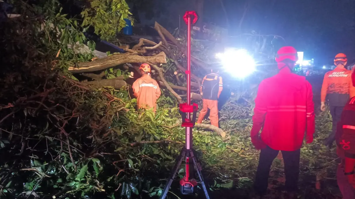 BPBD Kota Malang mengevakuasi bangkai pohon yang tumbang di Lapangan Brawijaya, Kelurahan Kesatrian, Kecamatan Blimbing, Senin (30/30 malam. (BPBD Kota Malang)