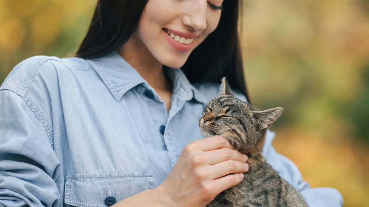 Hidup bersama anabul tetap nyaman dengan kebersihan yang terjaga. (Freepik)