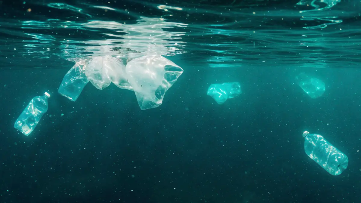 Potret limbah plastik yang tenggelam di dalam laut. (Freepik).