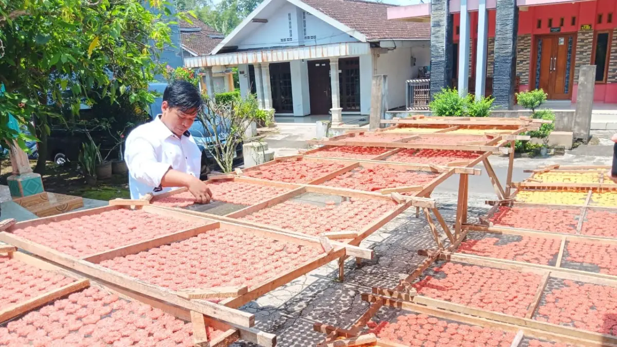 LARIS SAMPAI LUAR PULAU: Owner Rengginang Kencana Mohamad Azmi menjemur rengginang sebelum dikemas dan dikirim ke konsumen kemarin siang.
(Indah Mei Yunita/Radar Malang)