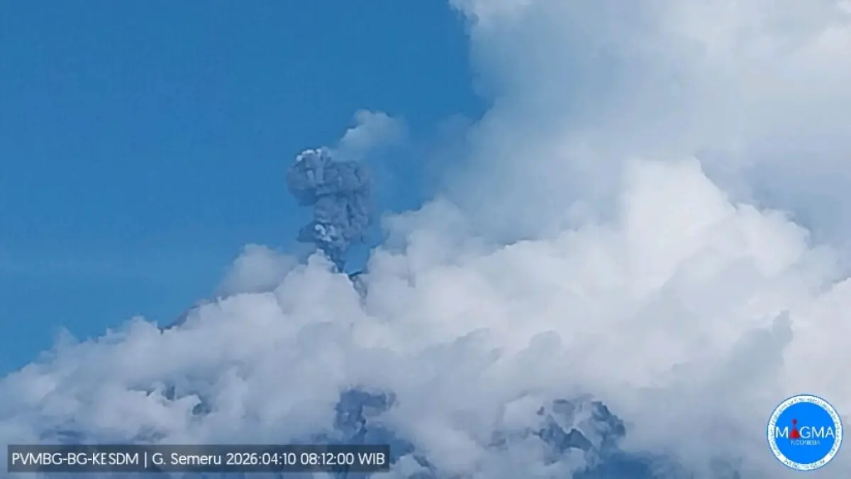 Rekaman erupsi gunung Semeru pagi ini. (Istimewa)