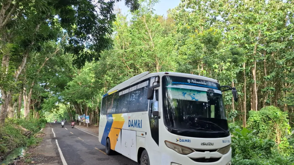 ANGKUT WISATAWAN: Bus DAMRI jurusan Malang-Sendangbiru melintasi jalur Turen-Sumbermanjing Wetan.BIYAN MUDZAKY HANINDITO / RADAR KANJURUHAN