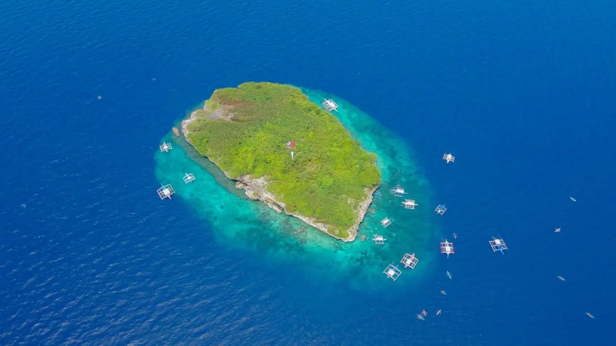 Illustrasi pulau kecil yang ditemukan oleh KKP. (Freepik)