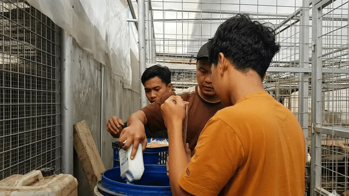 proses pemberdayaan pengolahan pangan 
