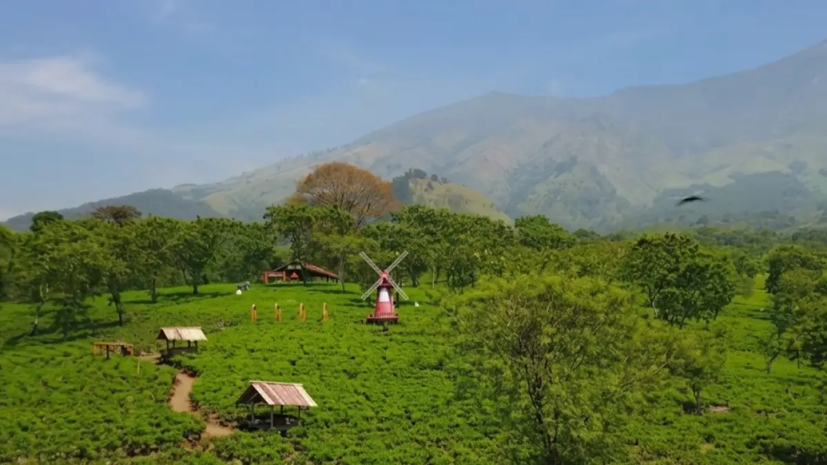 Gak Perlu Jauh-Jauh! 3 Tempat Healing di Malang Ini Bikin Pikiran Auto Tenang. (Sumber: Youtube)