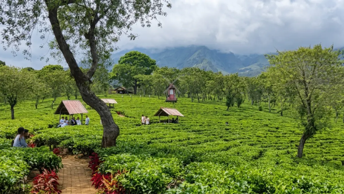 Rekomendasi 5 Wisata di Malang yang Buka Pagi Hari, Cocok Buat Healing Sebelum Aktivitas. (Sumber: Youtube)