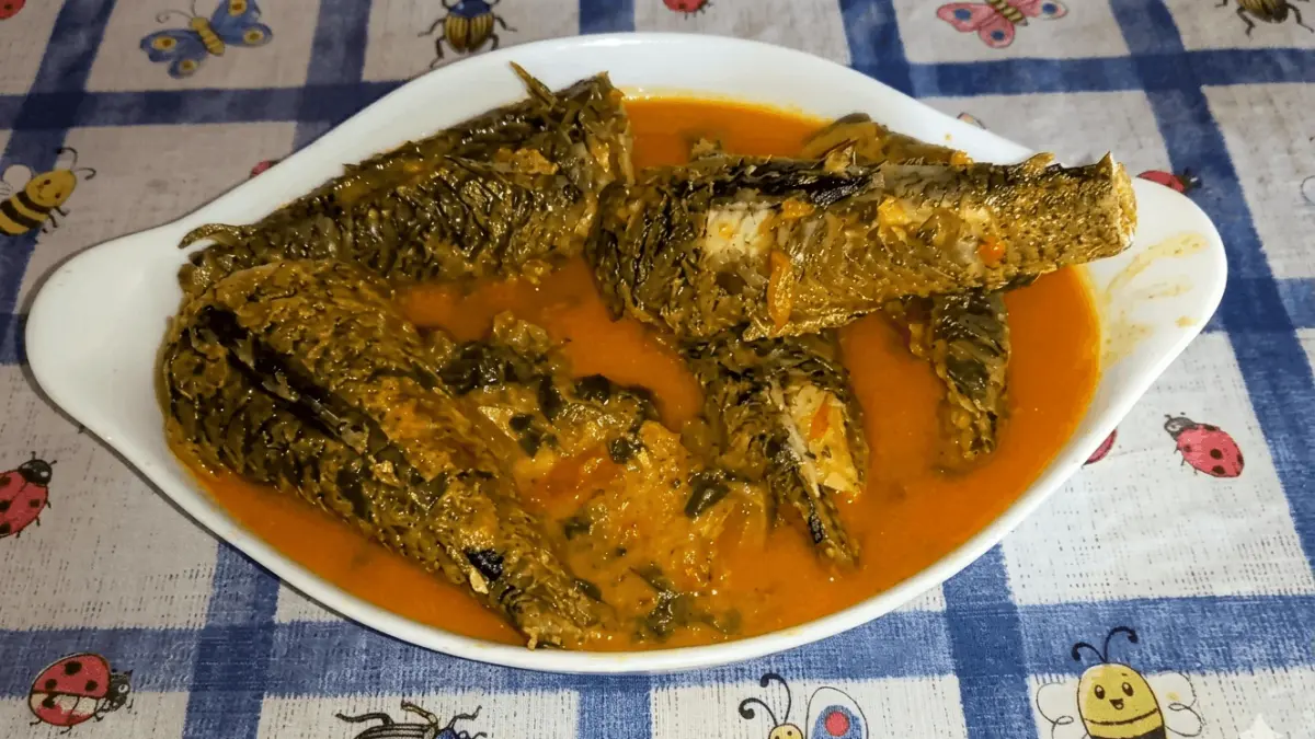 Caldeirada de cascudo makanan khas Amazon, Brasil yang terbuat dari ikan sapu-sapu (sumber: Youtube)