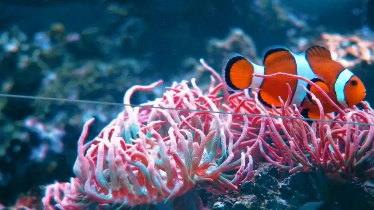 Menyambut Tanggal Merah Mei, Ini Rekomendasi Wisata Terbaik di Malang untuk Liburan Singkat (Sumber : Youtube)