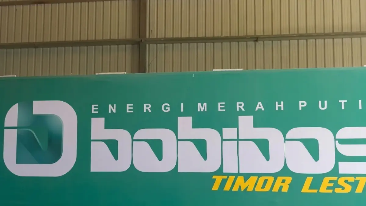 INOVASI BARU: BOBIBOS Merupakan Bahan Bakar Berbasis Jerami yang Bidik Kemandirian Energi. (Sumber: Istimewa)