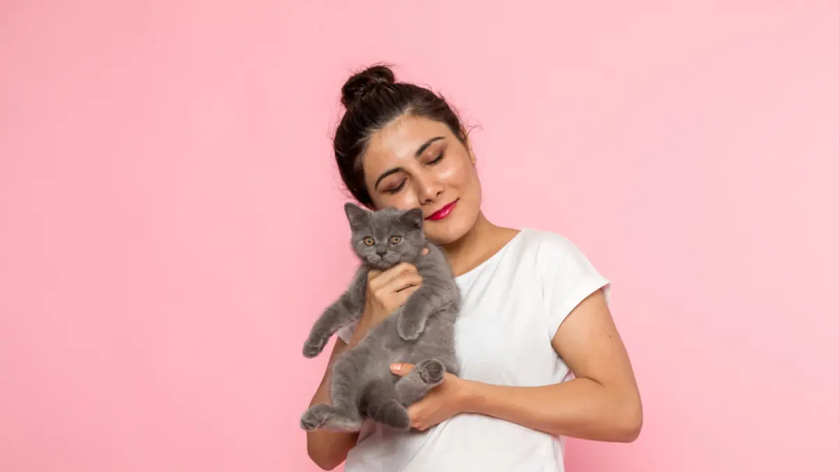 Grooming rutin membantu menjaga kebersihan, kesehatan, dan kenyamanan kucing peliharaan. (Freepik)