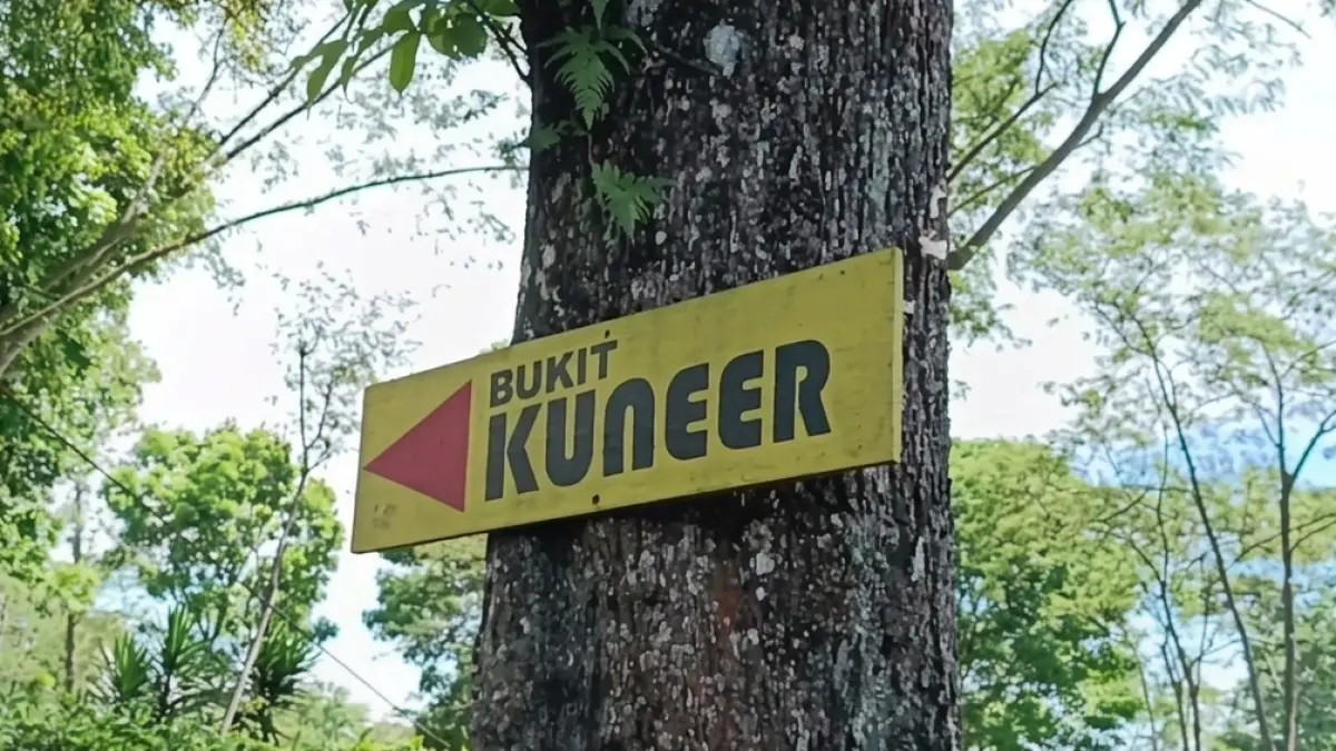 Kebun Teh Wonosari, Rekomendasi Wisata Alam Sejuk Favorit untuk Liburan Hemat (Sumber: Youtube)