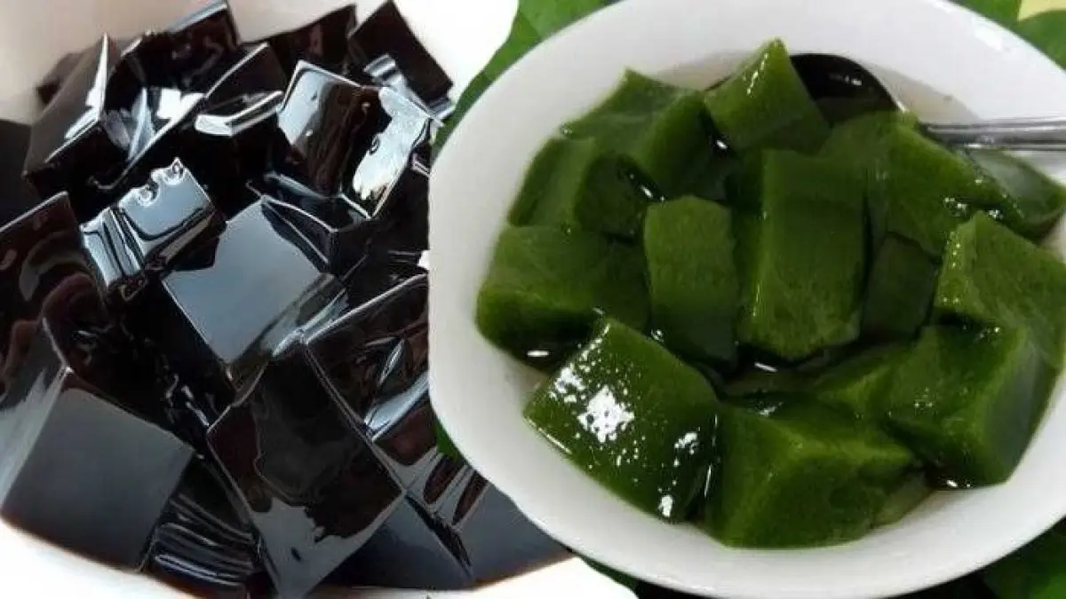 Cincau memiliki banyak manfaat untuk kesehatan tubuh. (Pinterest).