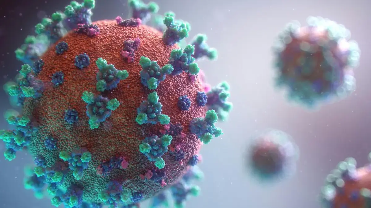 WASPADA: Dua pasien suspek Hantavirus ditemukan di Indonesia. (Sumber: Unsplash)