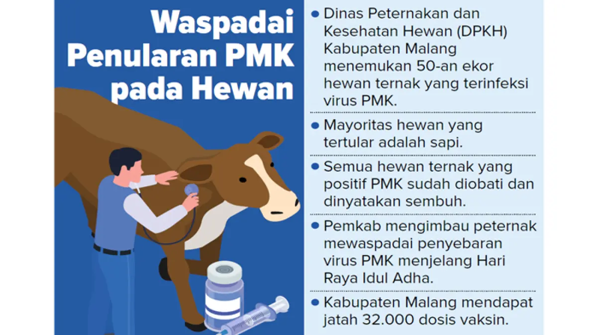 Grafis Waspadai Penularan PMK
