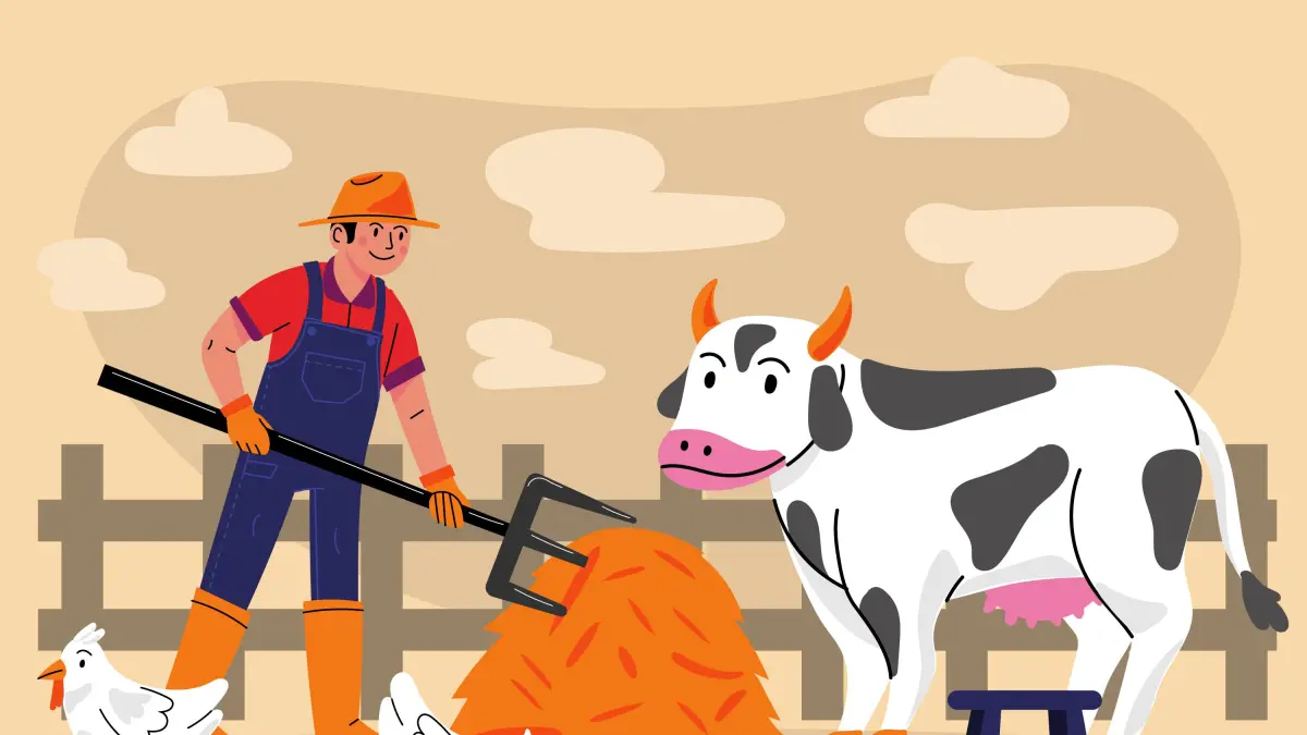 Illustrasi Peternak Sapi (Freepik)