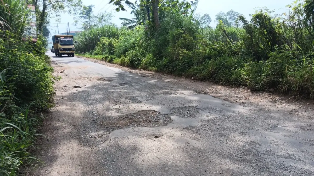 Jalan desa di Kabupaten Malang
