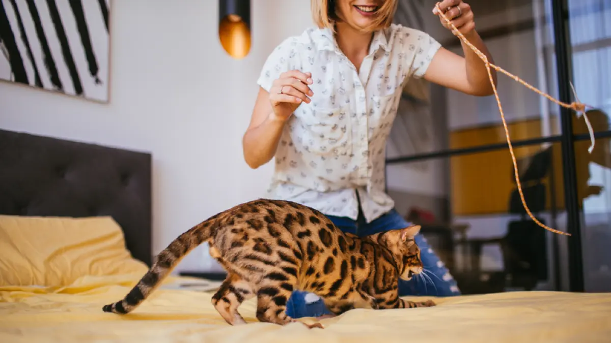 Hangatnya kebersamaan sederhana dengan kucing. (Freepik)