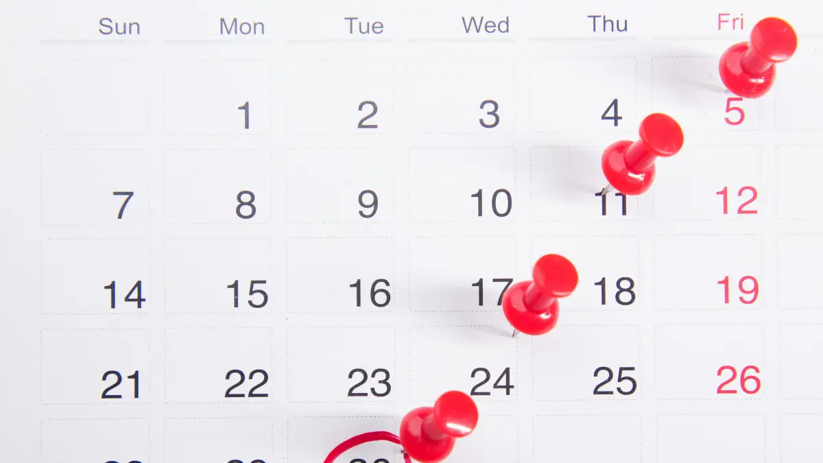 Informasi mengenai jadwal libur sekolah dan tahun ajaran baru 2026/2027. (Foto: Pexels)