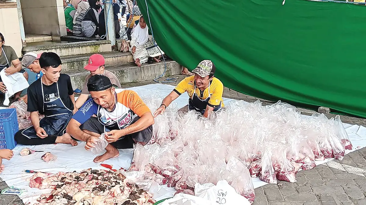 Hewan kurban yang sudah dipotong dibungkus menjadi kemasan kecil-kecil. Daging yang disebar dipastikan steril dari cacing hati.