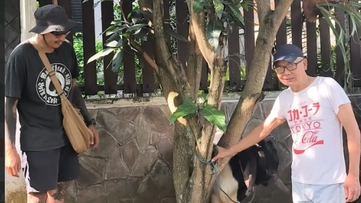 KOMITMEN: Kurban menjadi salah satu momentum kebersamaan PT Tomoland dan masyarakat sekitar.