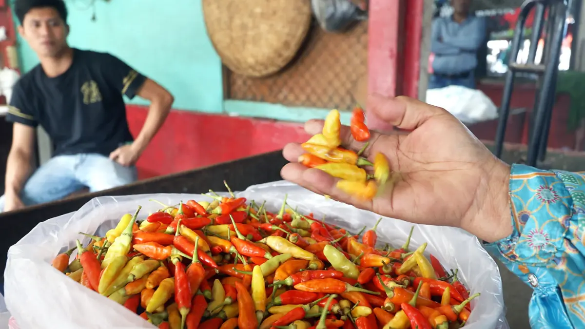 SEMAKIN PEDAS: Penampakan cabai rawit yang dijual salah satu pedagang di Pasar Gadang. Pemkot bakal mengendalikan harga yang melambung dengan WTI. (Foto: Darmono/Radar Malang)