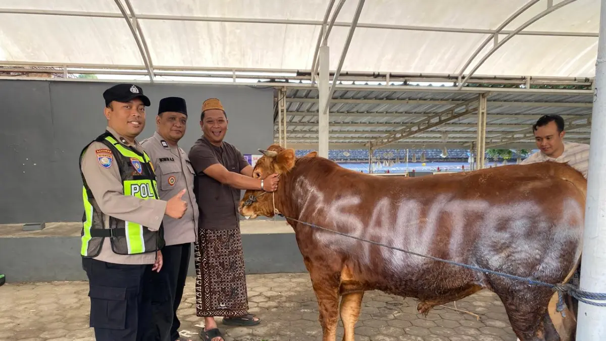 BERBAGI: Manajamen Santerra de Laponte menyerahkan 1 ekor sapi kepada takmir masjid di Desa Pandesari, Kecamatan Pujon, Kabupaten Malang, Rabu (27/5) 