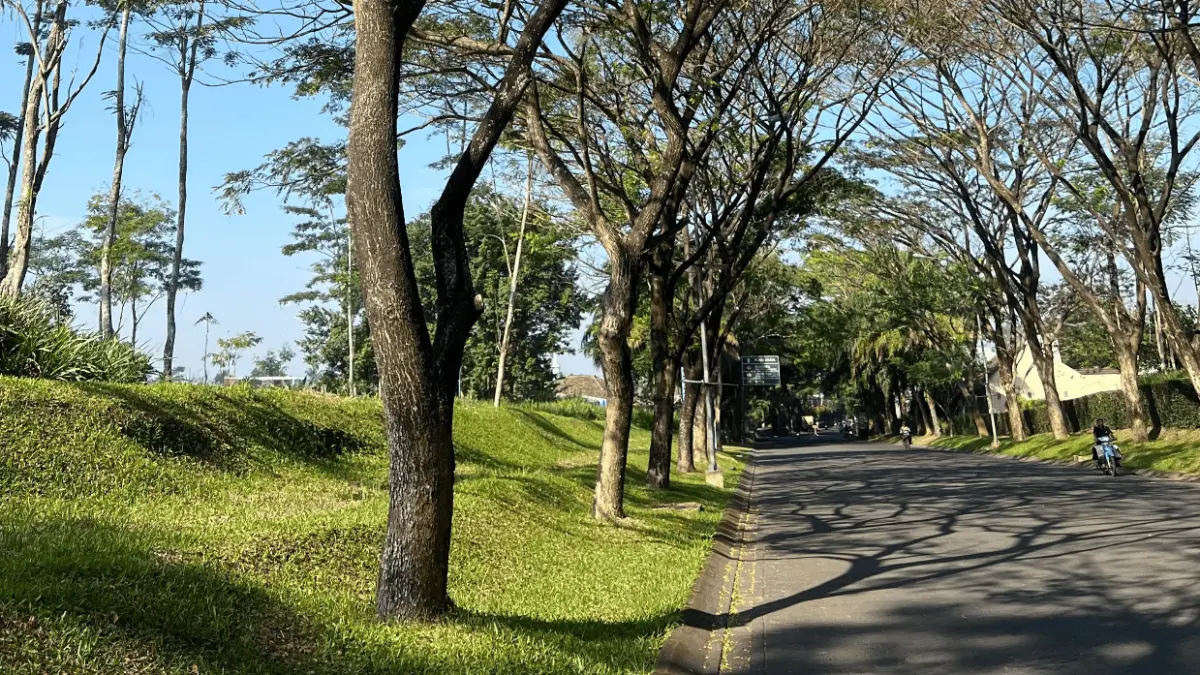 Suasana Pagi di Araya (Sumber: Sherly ANA/Radar Malang)