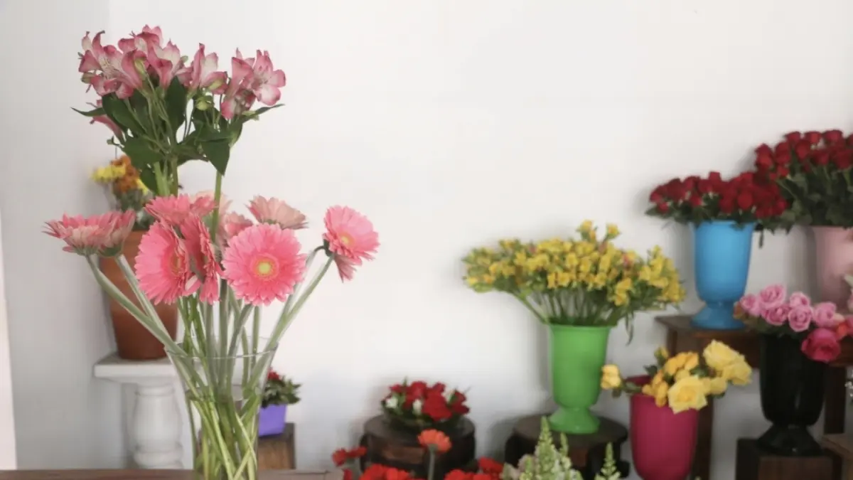 Mudah Dilakukan! Tips Membuat Bunga di Vas Tetap Segar Lebih Lama (Source: Pexels)