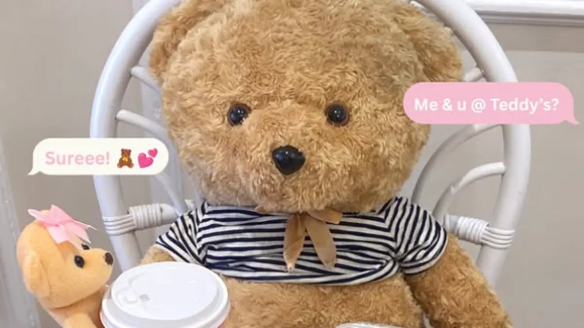 Teddy