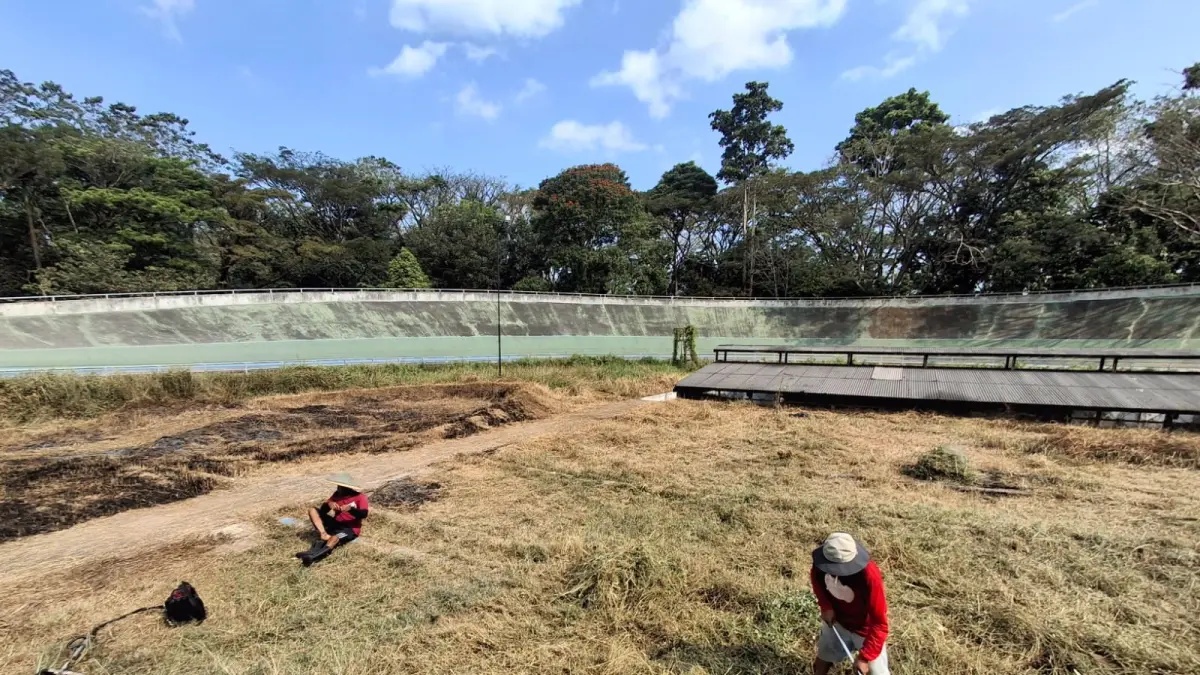 MULAI DITEMUKAN SOLUSI: Seorang petugas memotong rumput liar di area sirkuit Velodrome Kota Malang, kemarin.