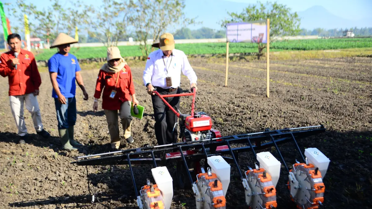 SUKSESKAN PROGRAM: Kegiatan BRMP Tanaman Aneka Kacang berfokus pada komoditas kedelai.&nbsp;