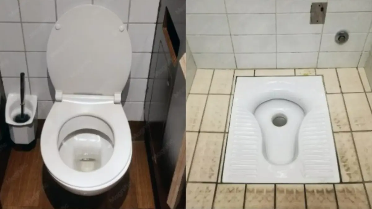Ilustrasi toilet duduk dan toilet jongkok (Sumber: Magnific)