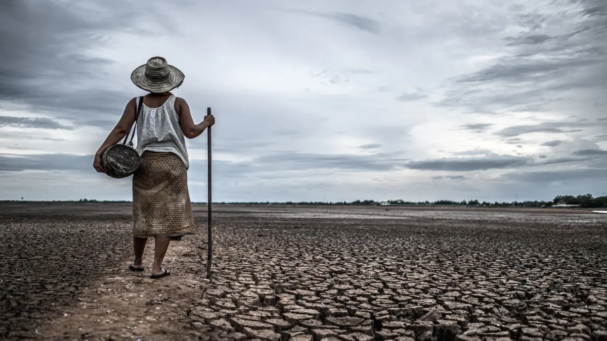 WMO memperkirakan El Nino akan menguat dan meningkatkan risiko cuaca ekstrem secara global. 
