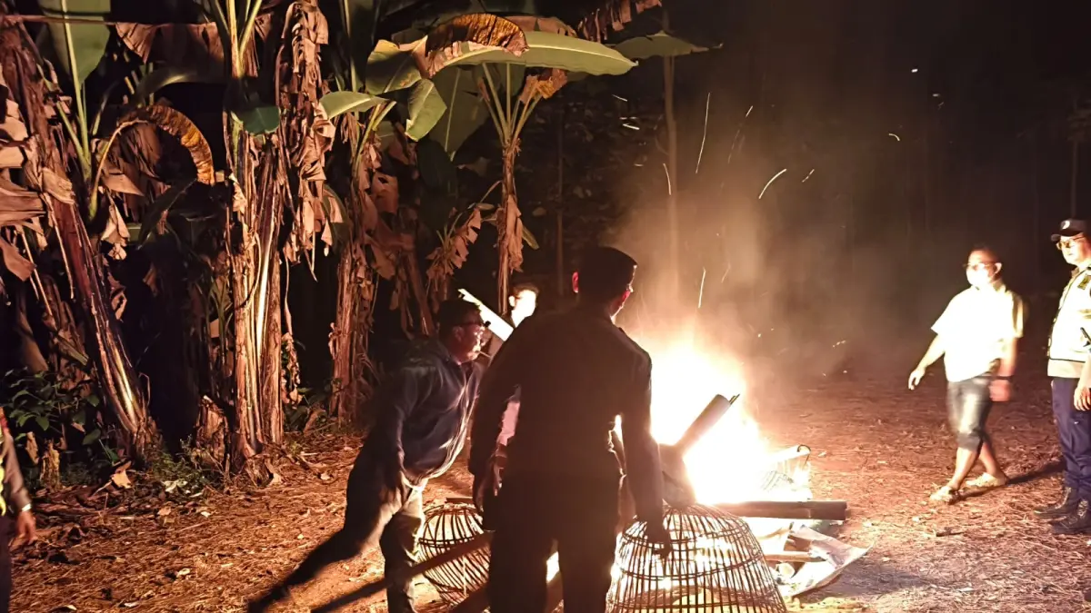 Polisi membongkar dan membakar arena sabung ayam di Singosari. (Humas Polres Malang)