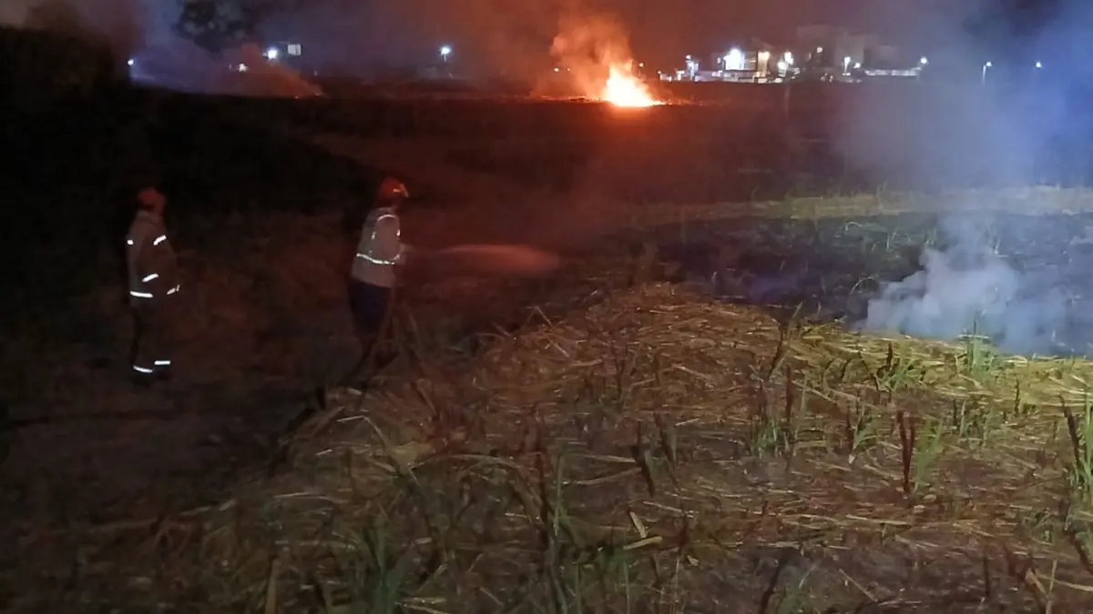 Petugas memadamkan kebakaran di lahan tebu