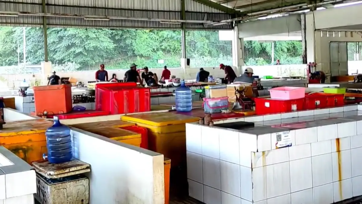 Tempat Pelelangan (TPI) Desa Tambak Rejo, Kecamatan Sumbermanjing, Kabupaten Malang (Sumber: Youtube)