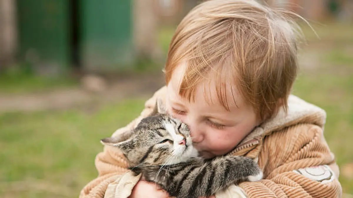 Ilustrasi Anak Bermain dengan Kucing (Getty images)