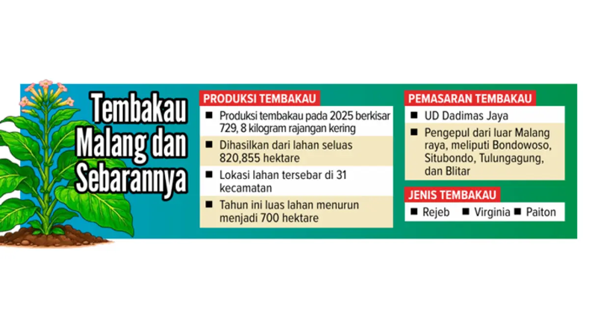 Grafis Tembakau Malang dan Sebarannya