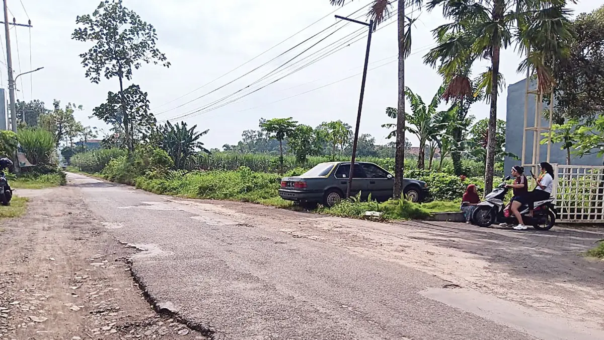 Jalan Desa di Kabupaten Malang