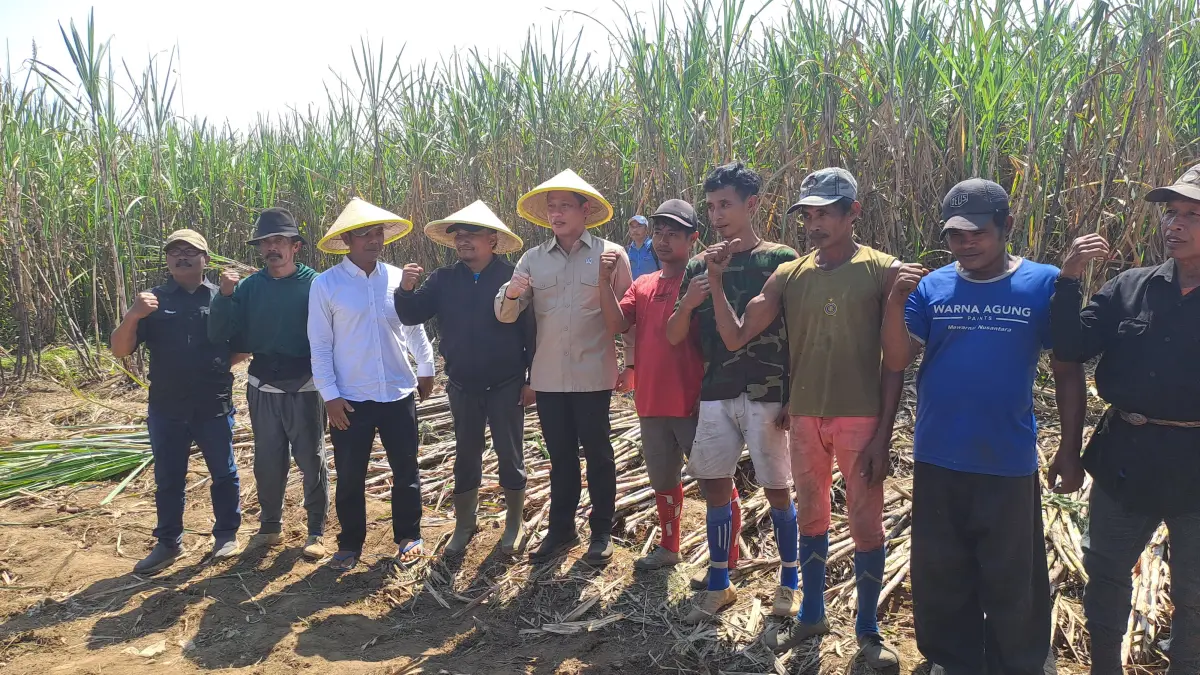 Wamenko Bidang Pangan (baju cokelat) bersama petani tebu di Desa Ganjaran, Kecamatan Gondanglegi Kamis (16/7). (Indah Mei Yunita/Radar Malang)