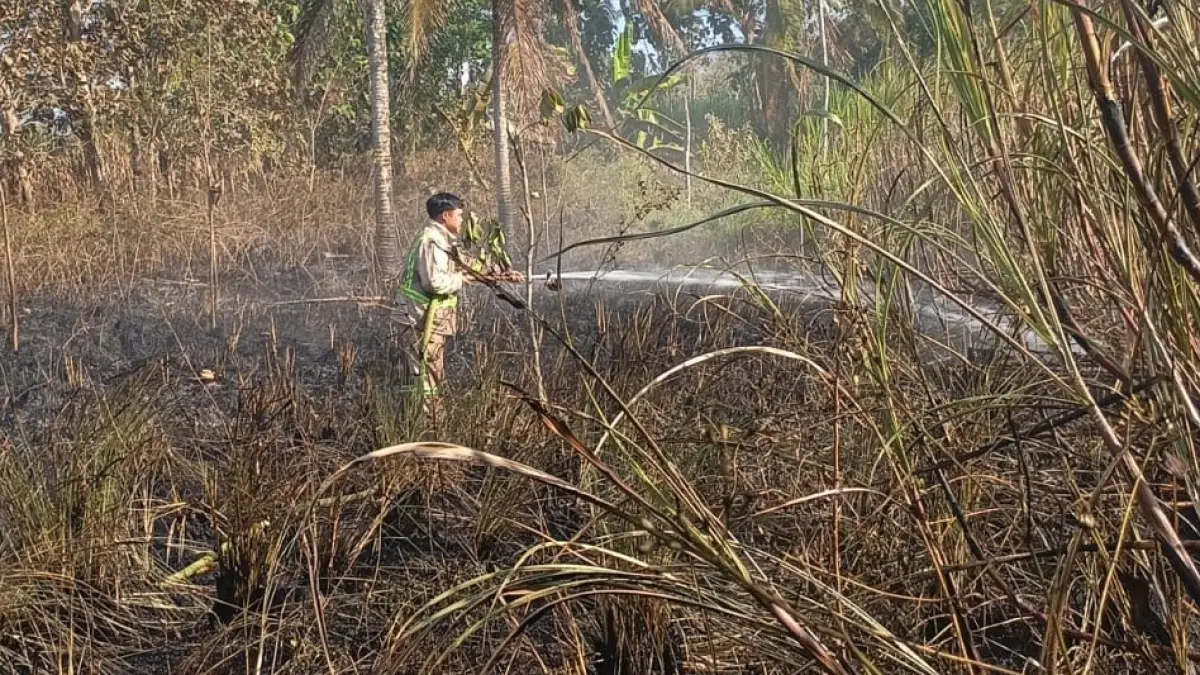 Personel Damkar Kabupaten Malang memadamkan api yang membakar lahan tebu di Desa Rejosari, Kecamatan Bantur. (Damkar Kabupaten Malang)